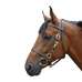 Canter - Bridon halster breed paard bruin | - Ohlala