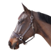 Canter - Licol cheval marron | - Ohlala