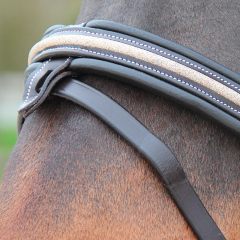 Canter - Bridon muserolle croisée Mylord noir/ light gold