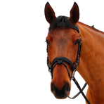 Canter - Bridon muserolle croisée Mylord noir/ noir | - Ohlala