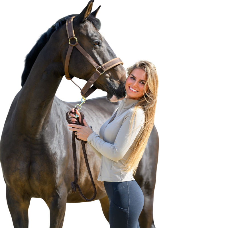 Bucas - Licol Comfort marron/ marron