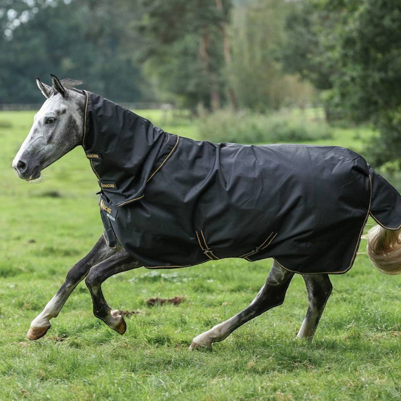 Bucas - Couverture d'extérieur Irish Turnout 50 noir/ gold 50g