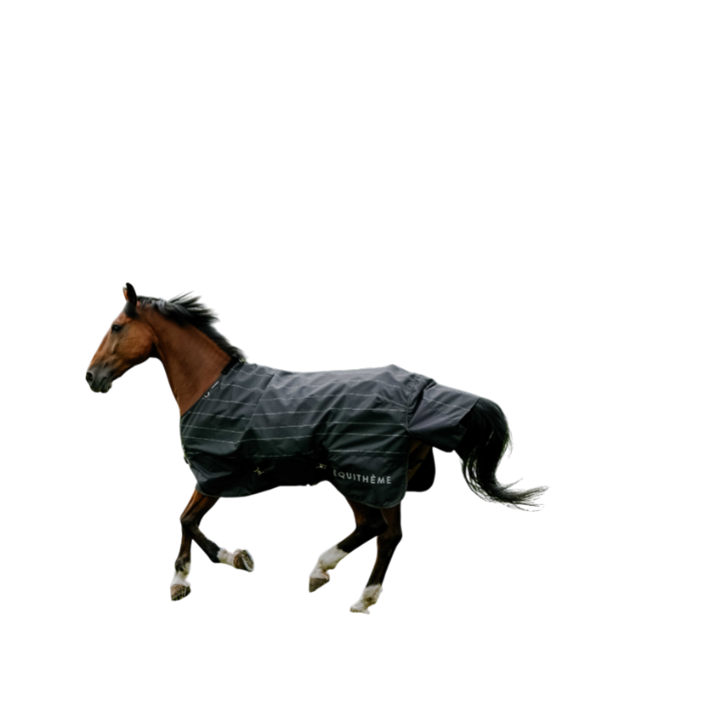 Equithème - Buitendeken Tyrex Lumin 600D zwart 50g | - Ohlala