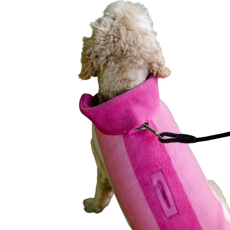 Horseware - Couverture pour chien Newmarket witney pink | - Ohlala