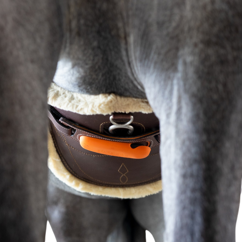 Equisense - Pack Motion One bruin leer | - Ohlala