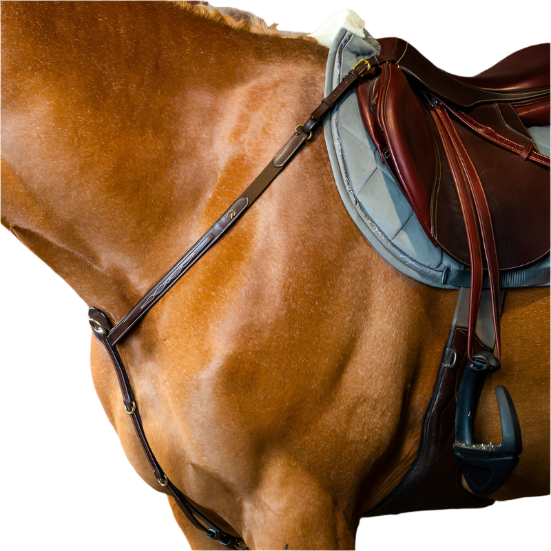 Dyon - Collier de chasse D Collection brun | - Ohlala