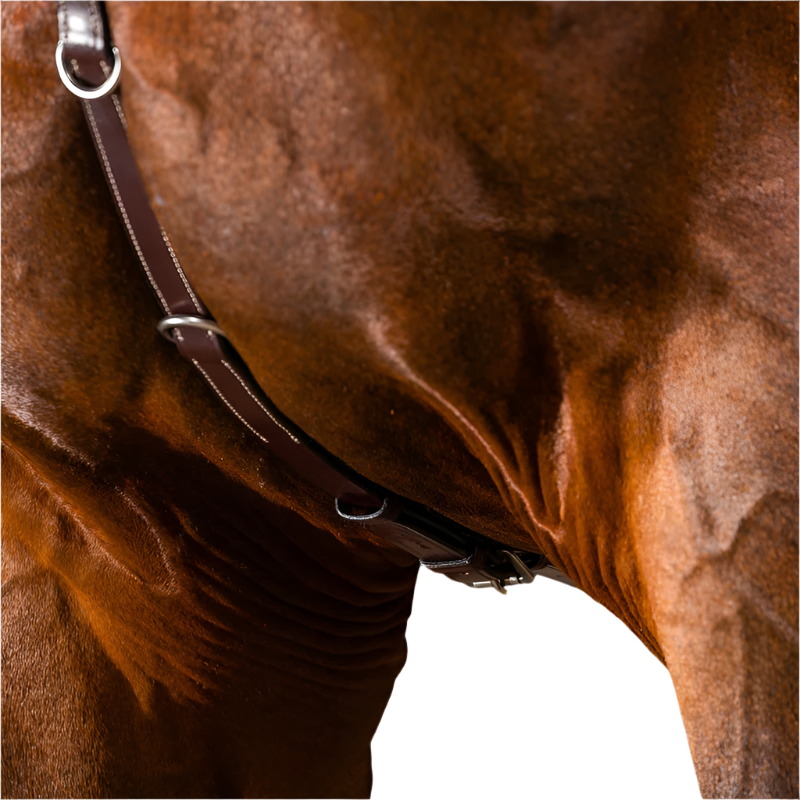 Dyon - Collier de chasse US Collection brun | - Ohlala