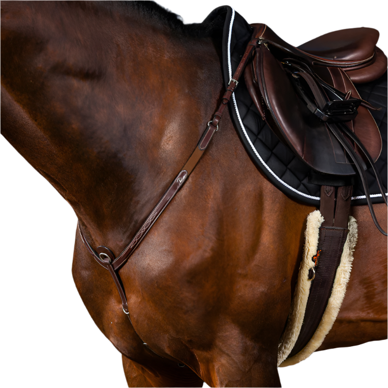 Dyon - Collier de chasse US Collection brun | - Ohlala