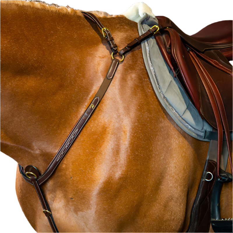 Dyon - Collier de chasse à pont D Collection noir | - Ohlala