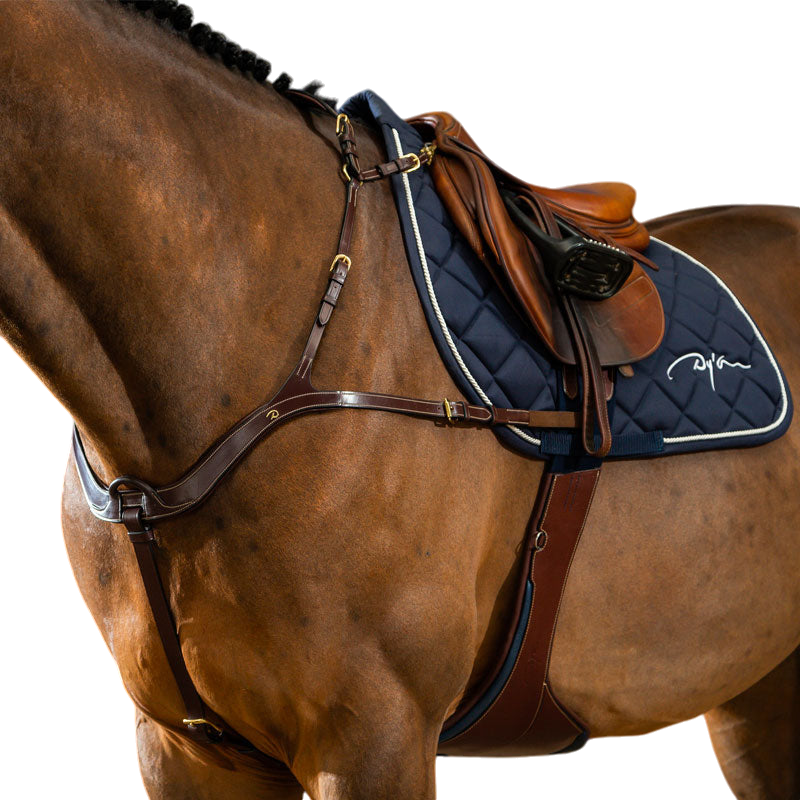 Dyon - Collier de chasse anatomique D Collection brun | - Ohlala