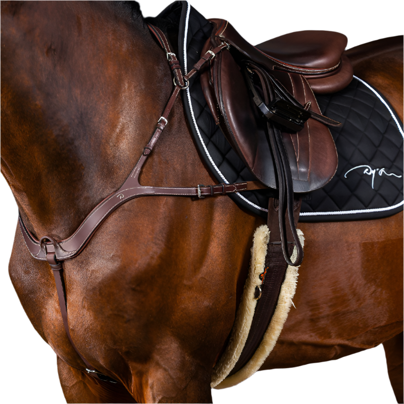 Dyon - Collier de chasse anatomique US Collection brun | - Ohlala