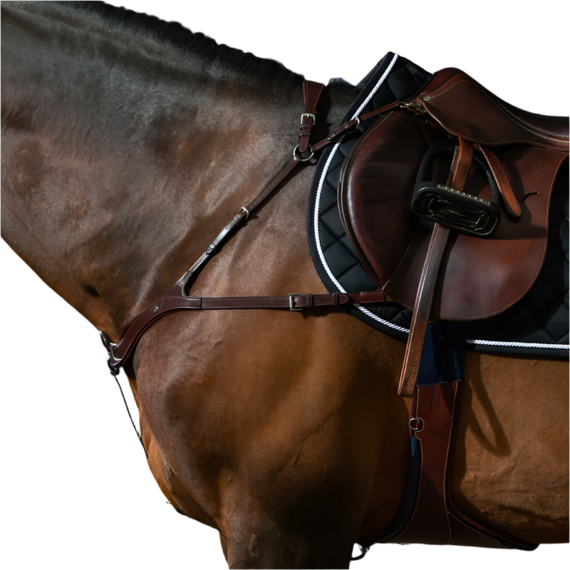 Dyon - Collier de chasse anatomique New English Collection brun | - Ohlala