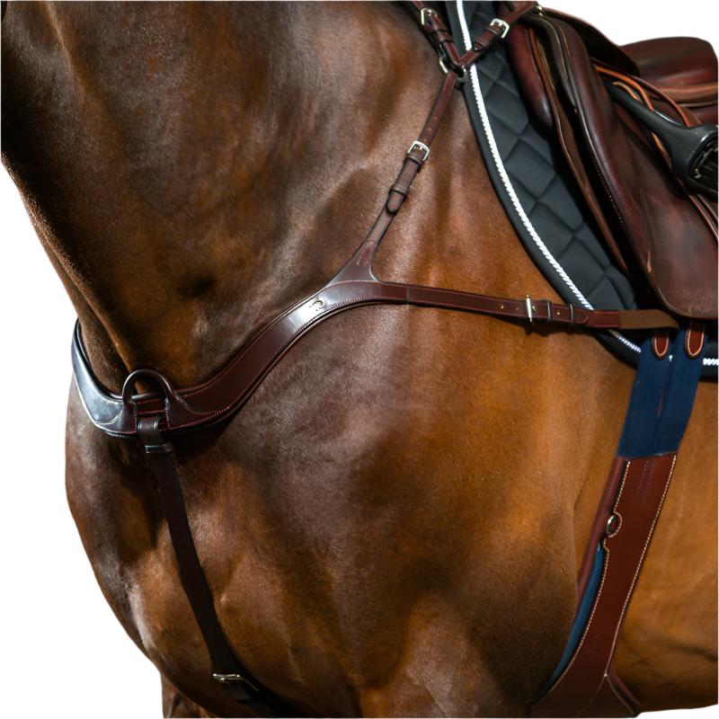 Dyon - Collier de chasse anatomique New English Collection brun | - Ohlala