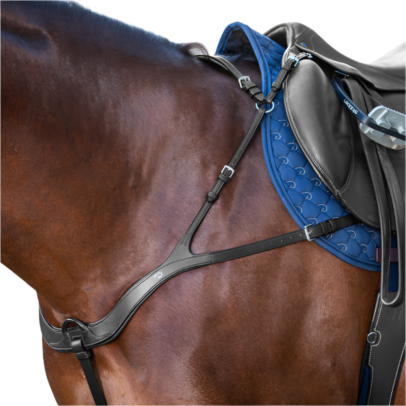 Dyon - Collier de chasse anatomique New English Collection noir | - Ohlala