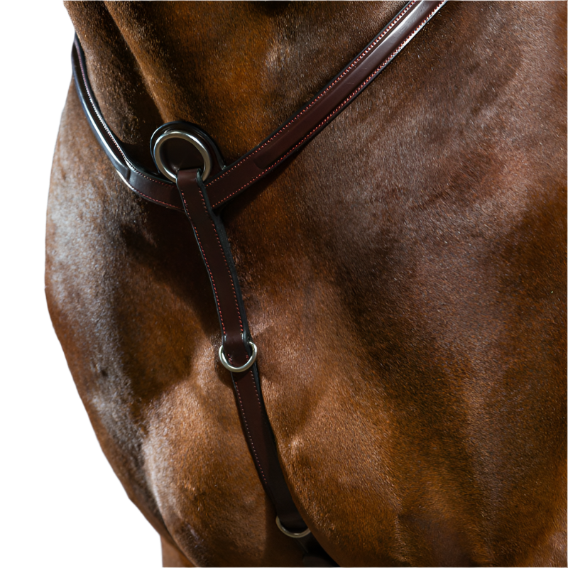 Dyon - Collier de chasse New English Collection brun | - Ohlala