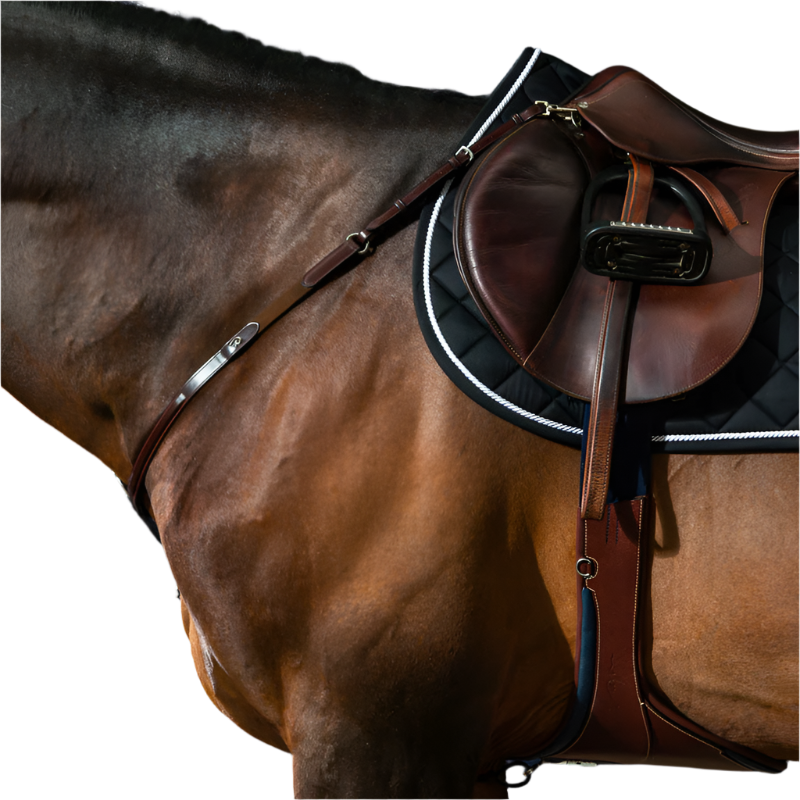 Dyon - Collier de chasse New English Collection brun | - Ohlala