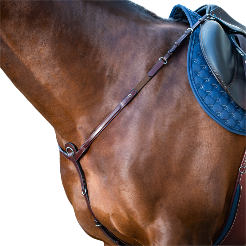 Dyon - Collier de chasse New English Collection brun | - Ohlala