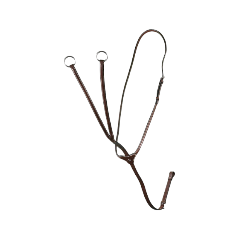 Dyon - Martingale à anneaux US Collection brun | - Ohlala