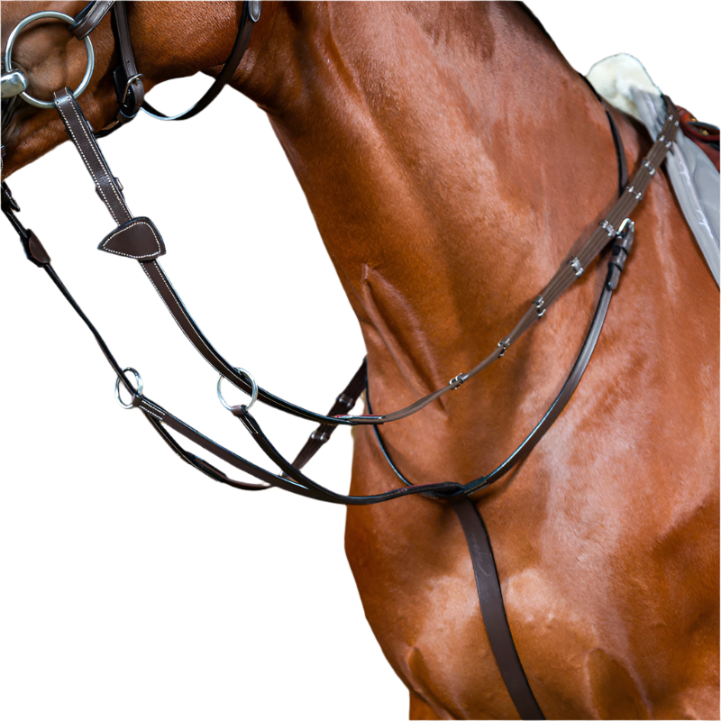 Martingale QHP à Anneaux Avec Collier - Réglable Deux Côtés - Tailles Shet, Pony, Cob, Full - Équitation