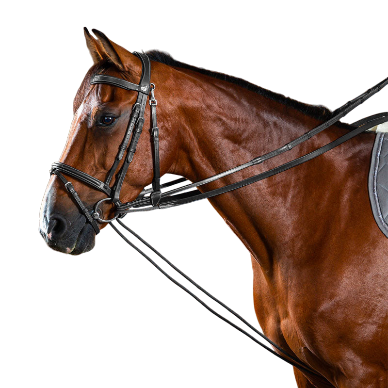 Dyon - Rênes allemandes cuir/nylon 5/8 Working by Dyon noir | - Ohlala