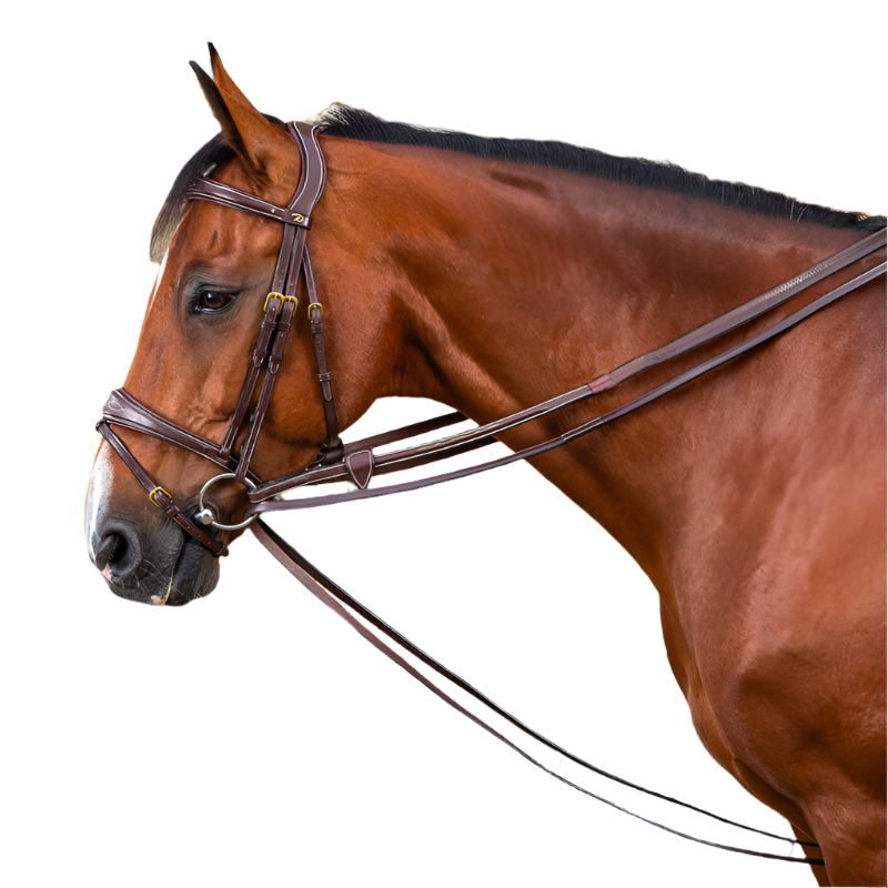 Dyon - Rênes allemandes tout cuir 1/2 D Collection brun | - Ohlala