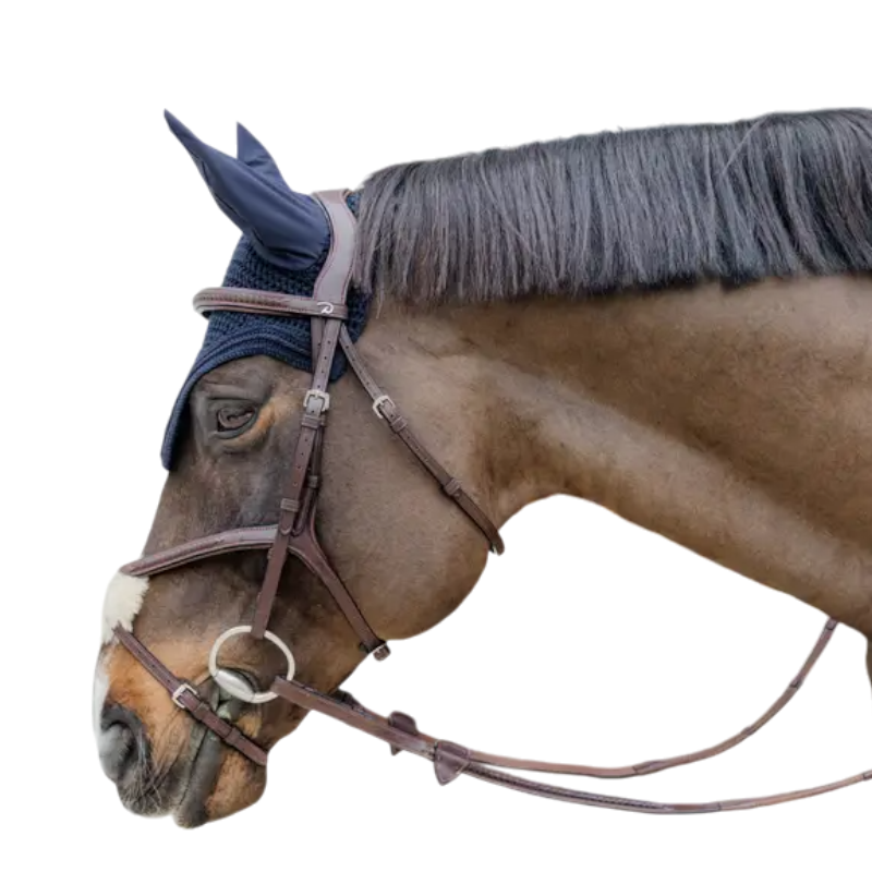 Dyon - Bridon muserolle croisée tressée havane | - Ohlala