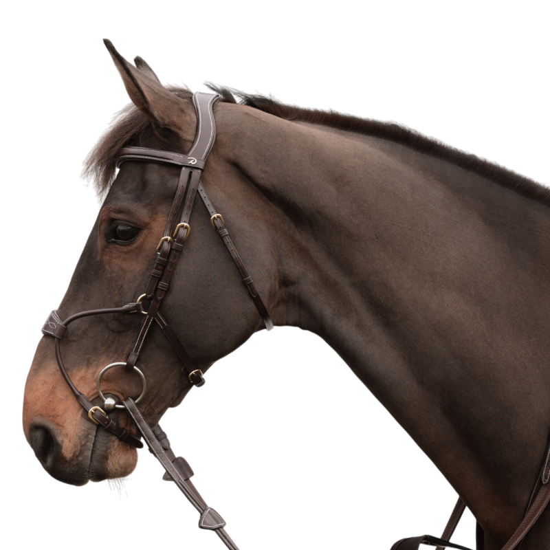 Dyon - Bridon muserolle hybride D Collection havane | - Ohlala