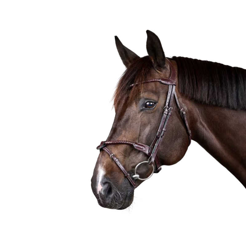 Dyon - Bridon tressé avec noseband amovible New English Collection marron