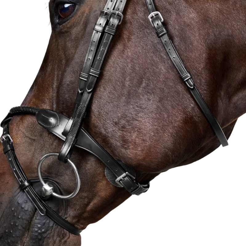 Dyon - Bridon tressé avec noseband amovible New English Collection noir