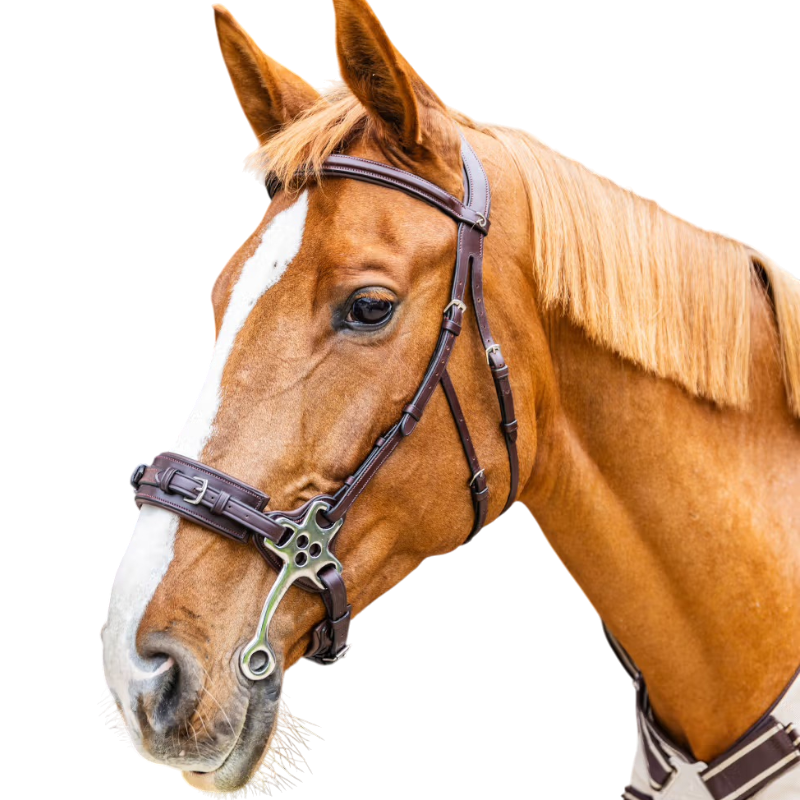 Dyon - Hackamore New English Collection marron