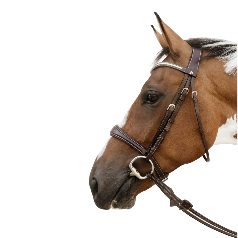 Dyon - Muserolle anatomique sans flash D Collection marron | - Ohlala