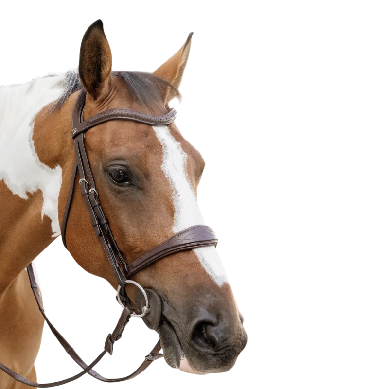 Dyon - Muserolle anatomique sans flash English Collection marron | - Ohlala