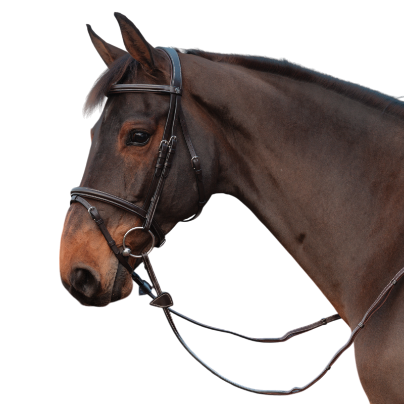 Dyon - Rênes en cuir à poignées Collection Working by Dy'on marron | - Ohlala