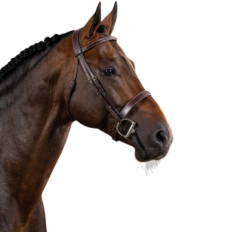 Dyon - Bridon Hunter US Collection havane | - Ohlala