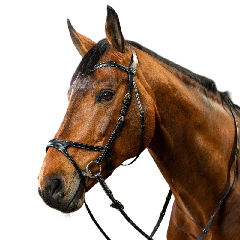 Dyon - Bridon X-Fit D Collection noir | - Ohlala