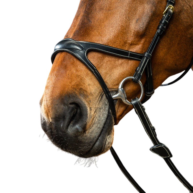 Dyon - Bridon X-Fit D Collection noir | - Ohlala