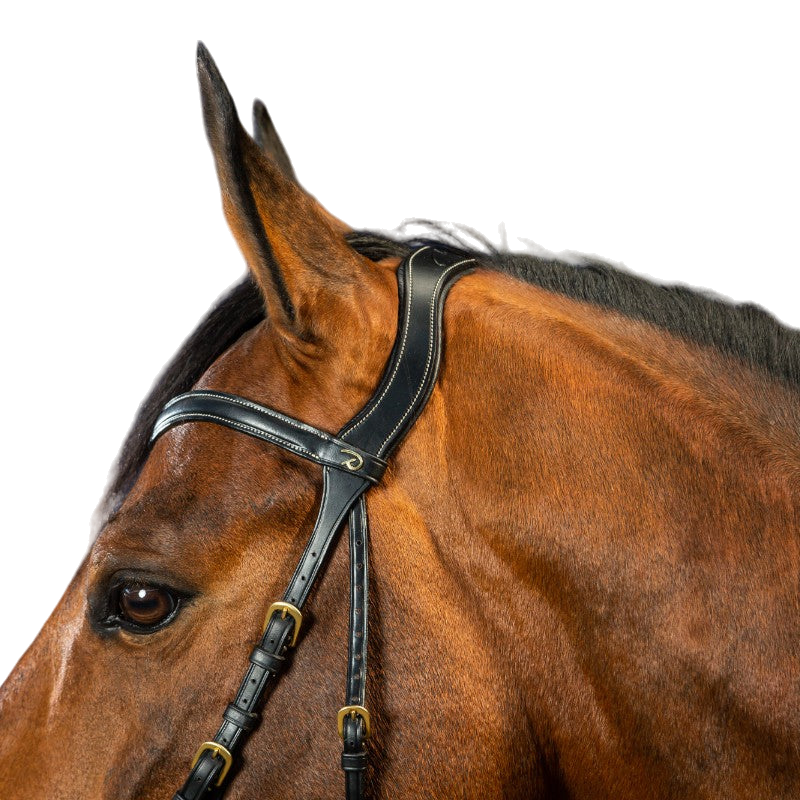 Dyon - Bridon X-Fit D Collection noir | - Ohlala