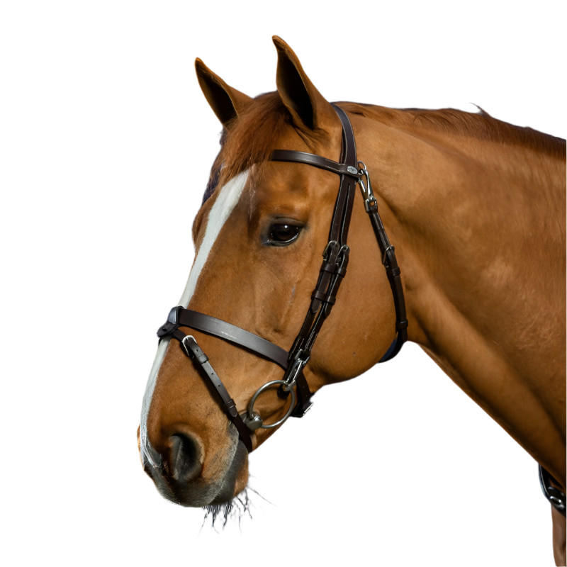 Dyon - Bridon cuir plat avec mousquetons Working By Dyon noir | - Ohlala