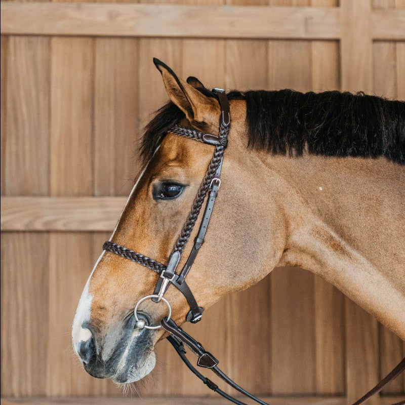 Dyon - Bridon d'entraînement Tressé Working By Dy'on marron | - Ohlala