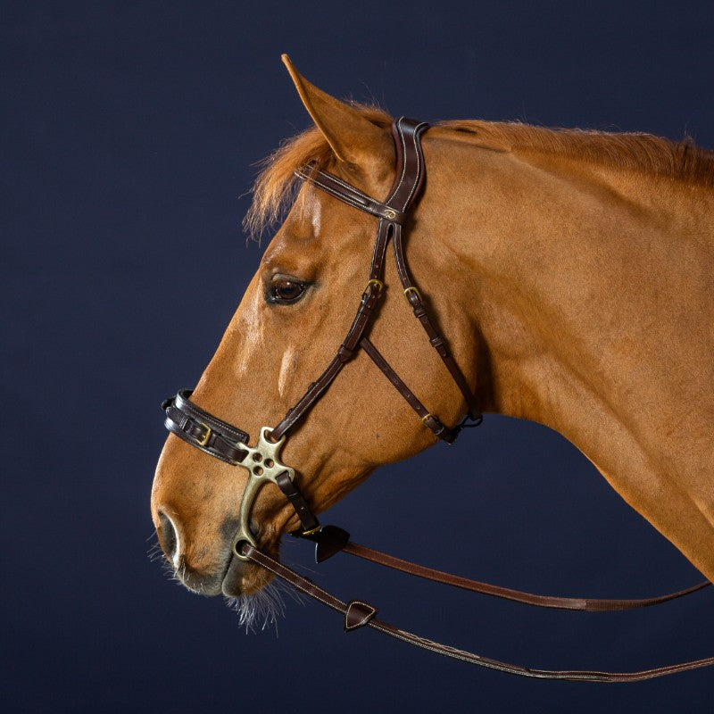 Dyon - Bridon hackamore D Collection havane | - Ohlala