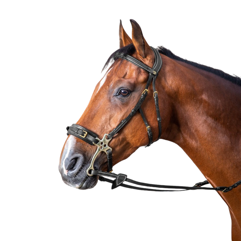Dyon - Bridon hackamore D Collection noir | - Ohlala