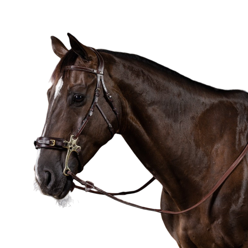Dyon - Bridon hackamore US Collection havane | - Ohlala