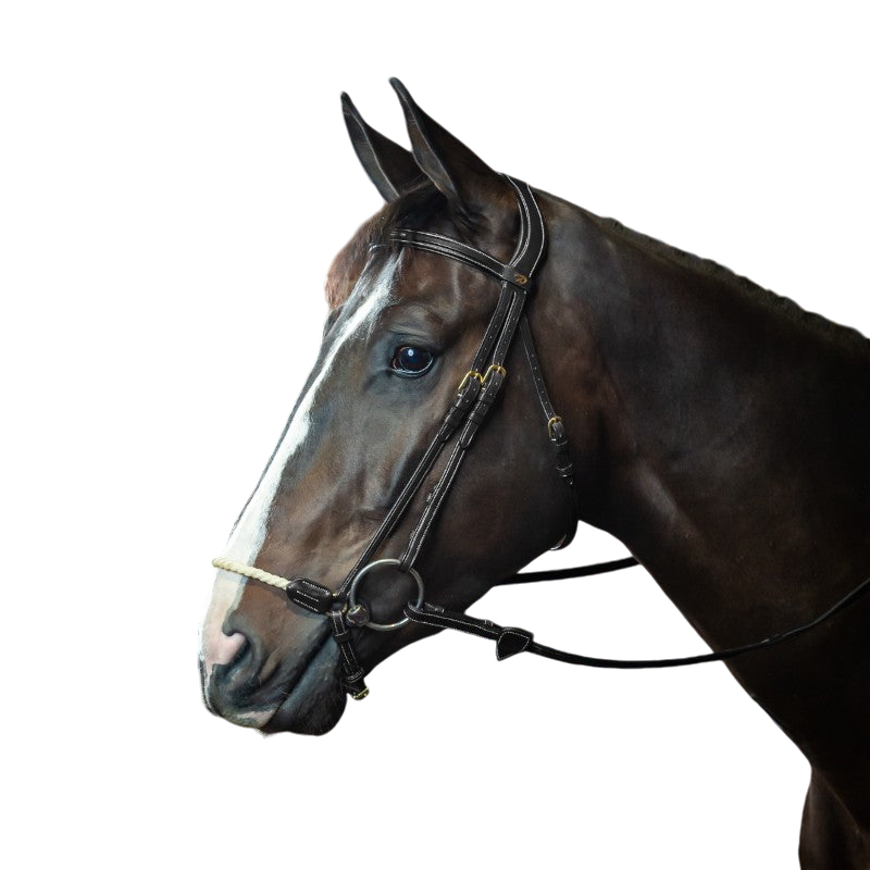 Dyon - Bridon muserolle allemande corde D Collection noir | - Ohlala