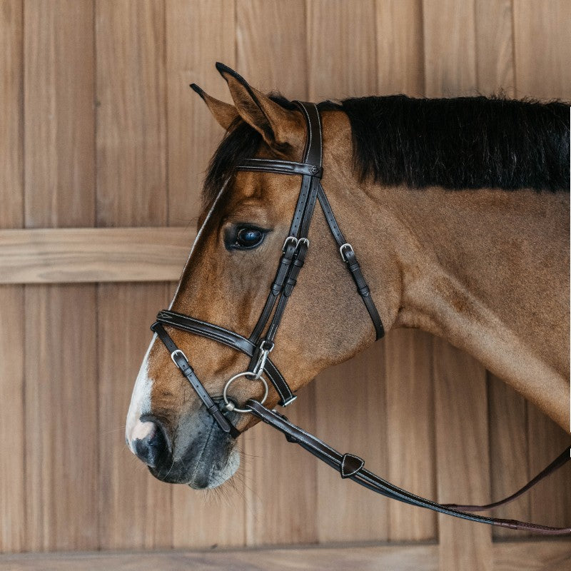 Dyon - Bridon muserolle combinée avec mousquetons Working By Dyon havane | - Ohlala