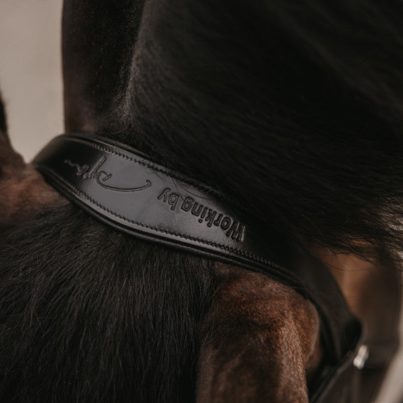 Dyon - Bridon muserolle combinée large vernie Working By Dyon noir | - Ohlala