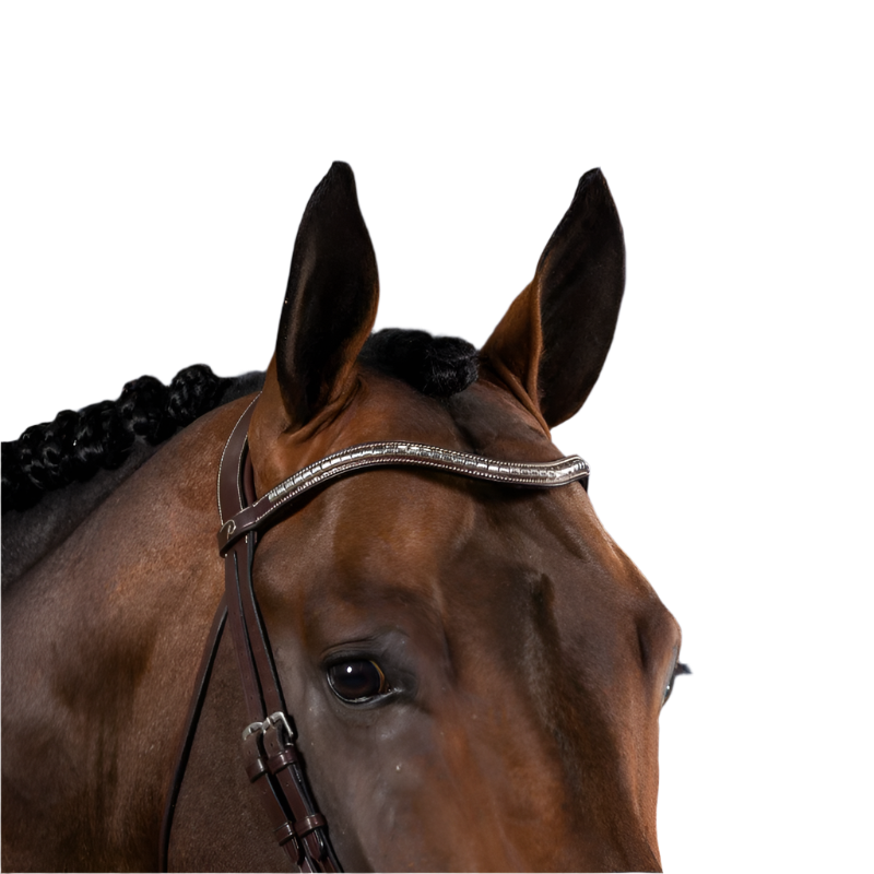 Dyon - Frontal en V clincher argenté US Collection marron | - Ohlala