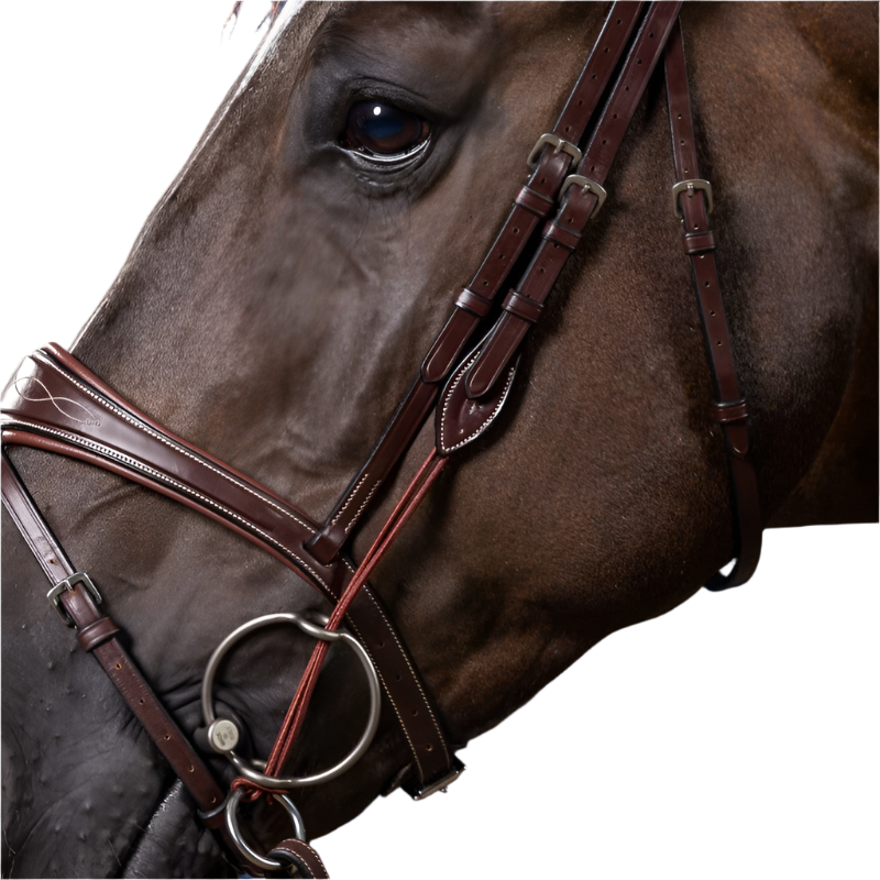 Dyon - Montants de releveur US Collection marron | - Ohlala