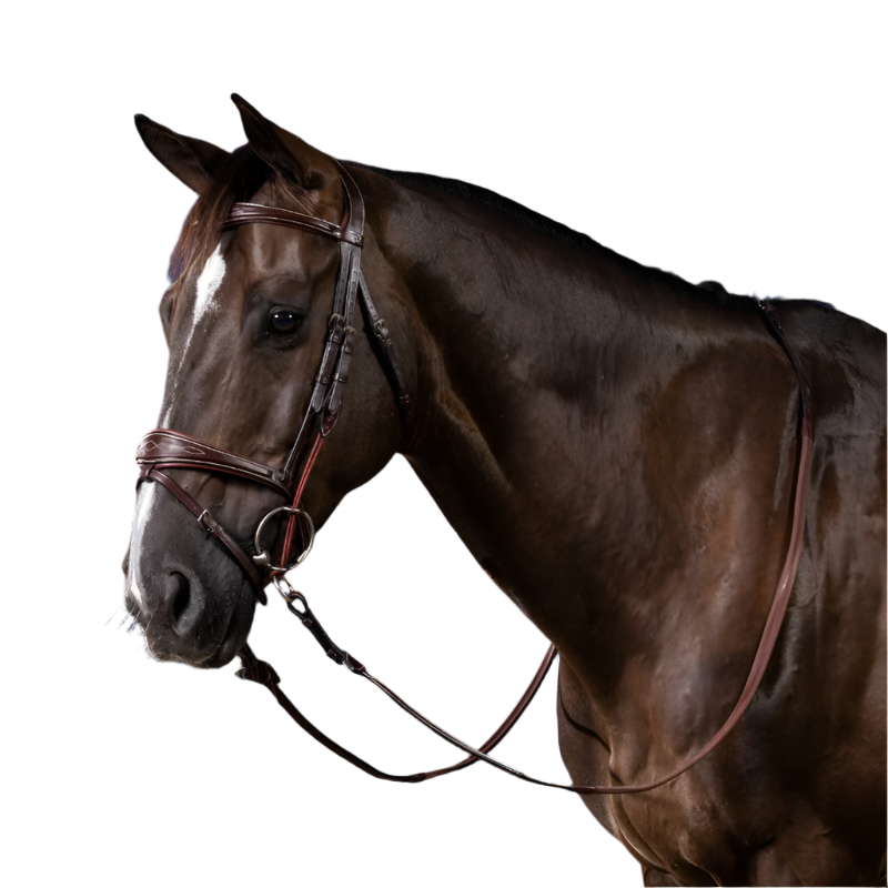 Dyon - Montants de releveur US Collection marron | - Ohlala