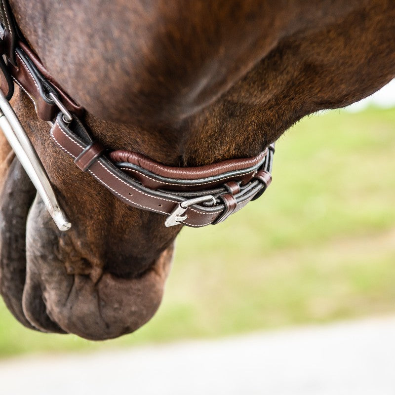 Dyon - Muserolle large Hunter fermeture pull-back US Collection marron | - Ohlala