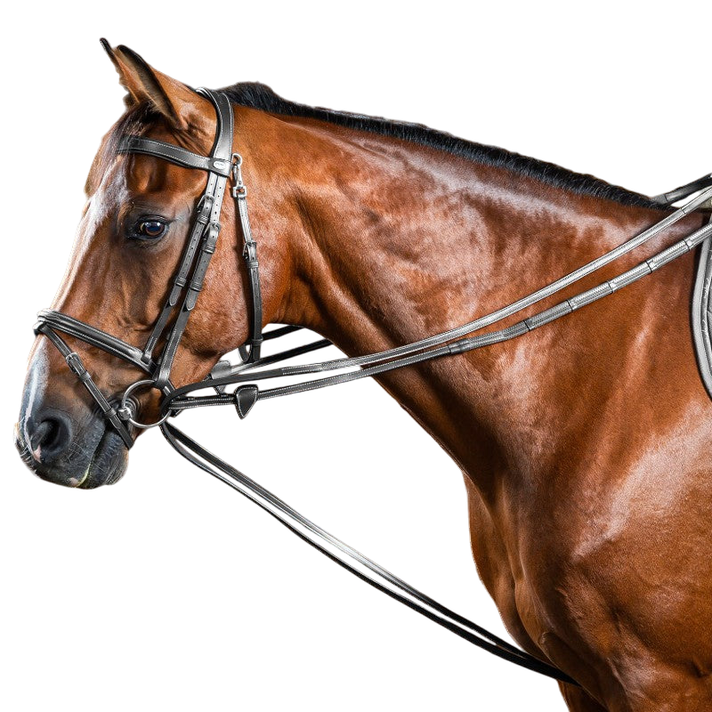 Dyon - Rênes allemandes Hunter 1/2 Working By Dyon noir | - Ohlala